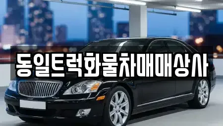 부산광역시 강서구 녹산동 중고차매매 전문 동일트럭화물차매매상사