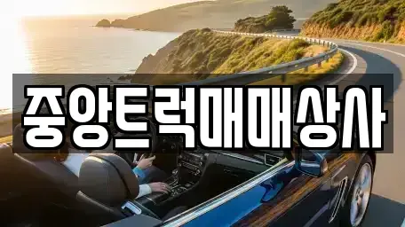 부산광역시 강서구 녹산동 중고차매매,단기렌트카,중고차매입,장기렌트카,중고차,렌트카