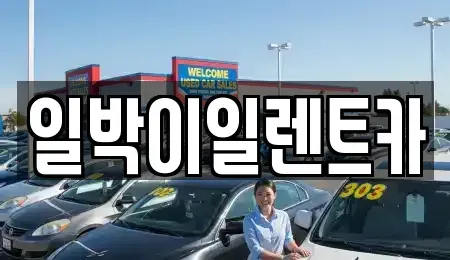 부산광역시 사상구 주례동 렌트카 전문 일박이일렌트카