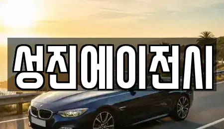 부산광역시 사상구 주례동 중고차매매 전문 성진에이전시