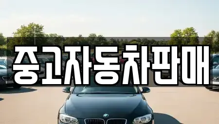 부산광역시 사상구 주례동 중고차매매 전문 중고자동차판매