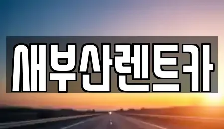 부산광역시 사하구 괴정동 렌트카 전문 새부산렌트카