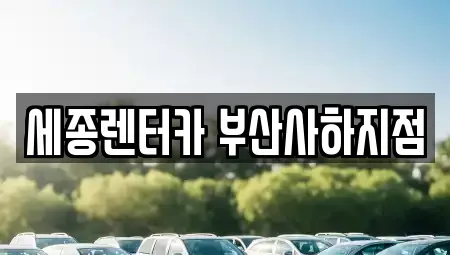 부산광역시 사하구 괴정동 렌트카 전문 세종렌터카 부산사하지점