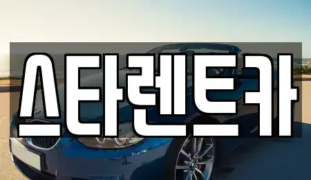 부산광역시 사하구 괴정동 렌트카 전문 스타렌트카