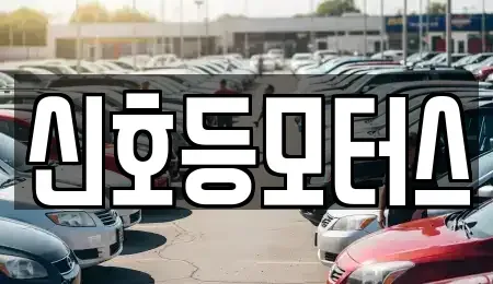 부산광역시 서구 서대신동1가 중고차 전문 신호등모터스