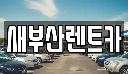 부산광역시 영도구 대평동2가 렌트카 전문 새부산렌트카