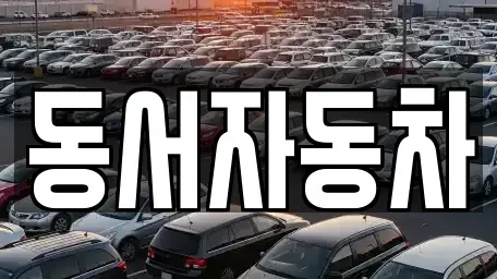 부산광역시 영도구 대평동2가 중고차 전문 동서자동차