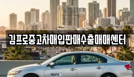 부산광역시 영도구 대평동2가 중고차매입 전문 김프로중고차매입판매수출매매센터