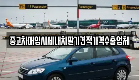 부산광역시 영도구 대평동2가 중고차매입 전문 중고차매입시세내차팔기견적가격수출업체