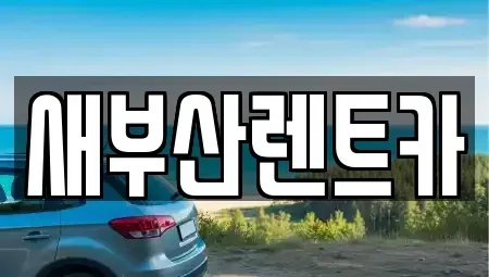 부산광역시 중구 남포동2가 렌트카 전문 새부산렌트카