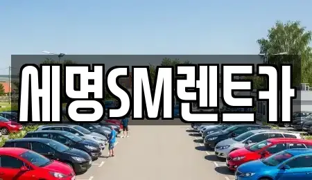 부산광역시 중구 남포동2가 렌트카 전문 세명SM렌트카