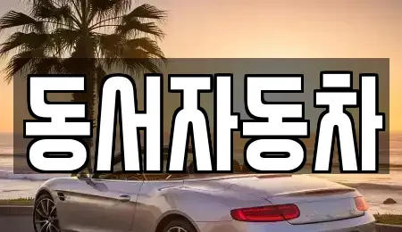 부산광역시 중구 남포동2가 중고차매매 전문 동서자동차