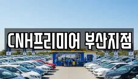 부산광역시 중구 대청동4가 렌트카 전문 CNH프리미어 부산지점