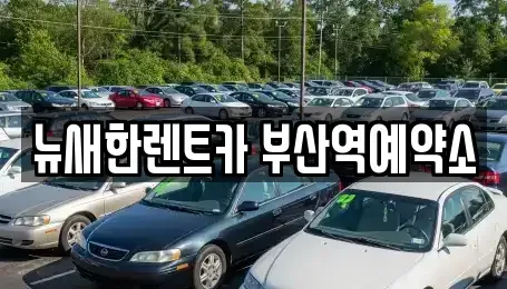 부산광역시 중구 대청동4가 렌트카 전문 뉴새한렌트카 부산역예약소