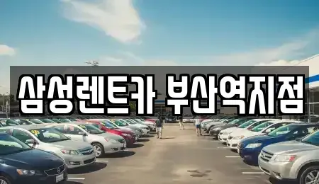 부산광역시 중구 대청동4가 렌트카 전문 삼성렌트카 부산역지점