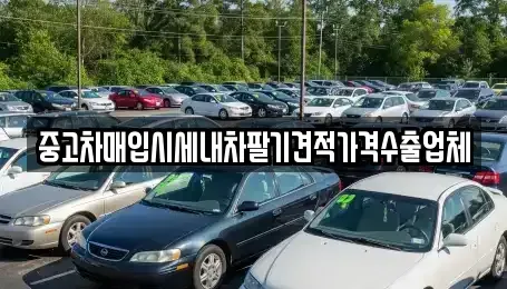 부산광역시 중구 대청동4가 중고차매입 전문 중고차매입시세내차팔기견적가격수출업체