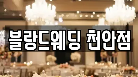 블랑드웨딩 천안점