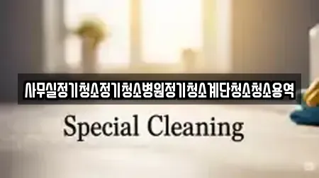 대구광역시 중구 상덕동 사무실청소 프로모션 9