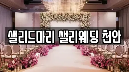 샐리드마리 샐리웨딩 천안