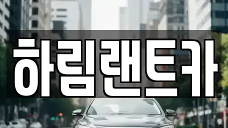 서울 강남구 세곡동 단기렌트카 전문 하림랜트카