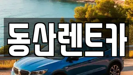 서울 강남구 세곡동 렌트카 전문 동산렌트카