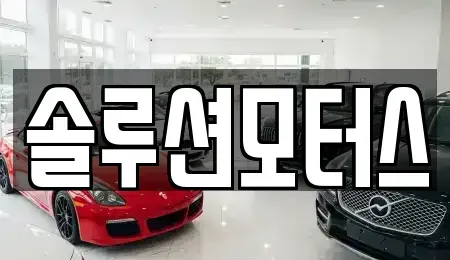 서울 강남구 세곡동 렌트카 전문 솔루션모터스