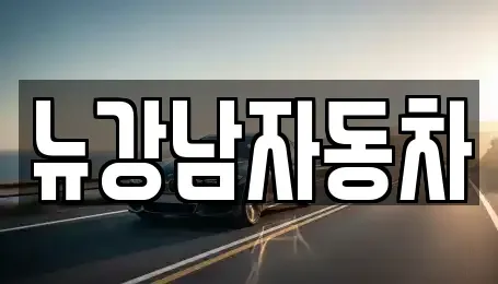 서울 강남구 세곡동 중고차 전문 뉴강남자동차