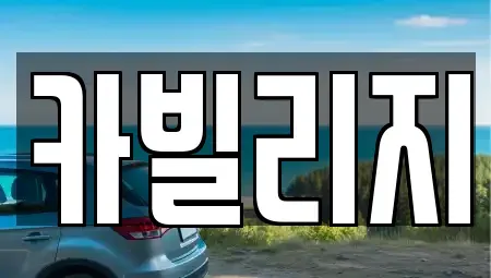 서울 강남구 세곡동 중고차 전문 카빌리지