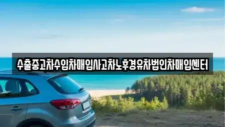서울 강남구 세곡동 중고차매입 전문 수출중고차수입차매입사고차노후경유차법인차매입센터