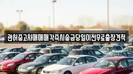 서울 강남구 압구정동 중고차 전문 관허중고차매매매각즉시송금당일이전무료출장견적