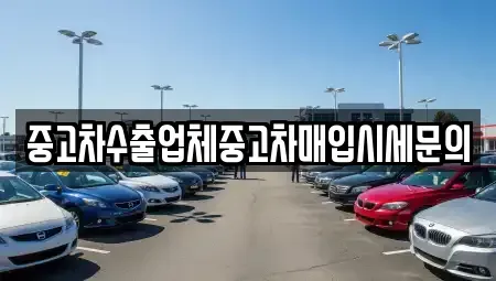 서울 강남구 압구정동 중고차매입 전문 중고차수출업체중고차매입시세문의