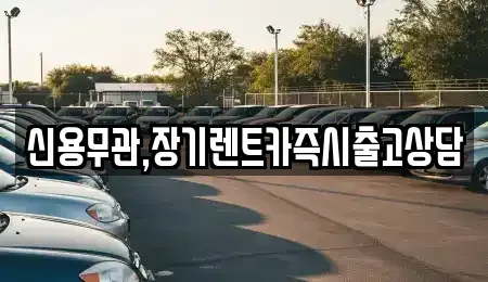 서울 강동구 장기렌트카 전문 신용무관,장기렌트카즉시출고상담