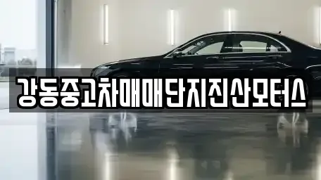 서울 강동구 중고차 전문 강동중고차매매단지진산모터스