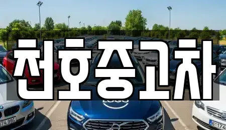 서울 강동구 중고차매매 전문 천호중고차