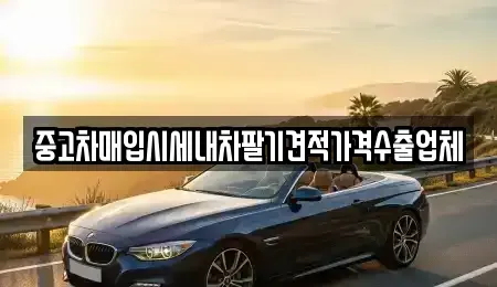 서울 강동구 중고차매입 전문 중고차매입시세내차팔기견적가격수출업체