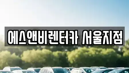 서울 강서구 등촌동 단기렌트카 전문 에스앤비렌터카 서울지점
