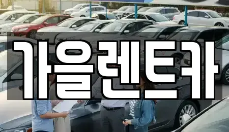 서울 강서구 등촌동 렌트카 전문 가을렌트카