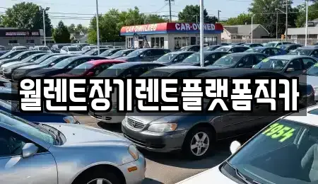 서울 강서구 등촌동 장기렌트카 전문 월렌트장기렌트플랫폼직카
