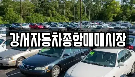 서울 강서구 등촌동 중고차 전문 강서자동차종합매매시장