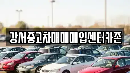 서울 강서구 등촌동 중고차 전문 강서중고차매매매입센터카존