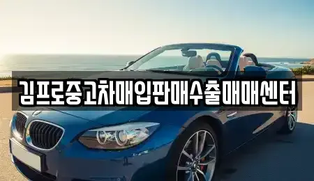 서울 강서구 등촌동 중고차매입 전문 김프로중고차매입판매수출매매센터