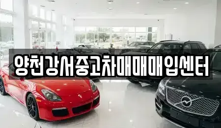 서울 강서구 등촌동 중고차매입 전문 양천강서중고차매매매입센터