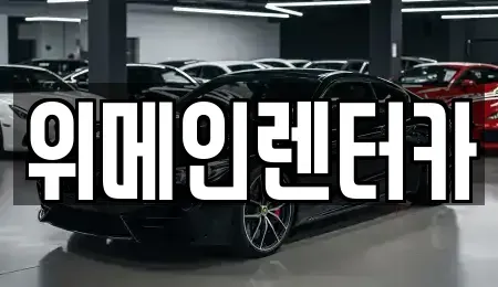 서울 강서구 외발산동 장기렌트카 전문 위메인렌터카