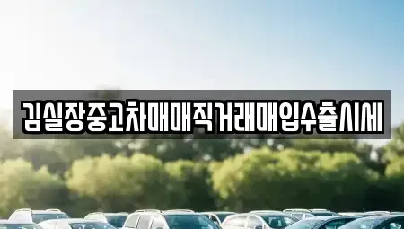 서울 강서구 외발산동 중고차 전문 김실장중고차매매직거래매입수출시세