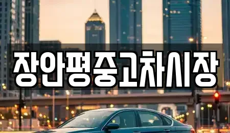 서울 강서구 외발산동 중고차 전문 장안평중고차시장