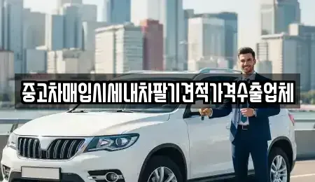서울 강서구 외발산동 중고차매입 전문 중고차매입시세내차팔기견적가격수출업체