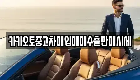 서울 강서구 외발산동 중고차매입 전문 카카오토중고차매입매매수출판매시세