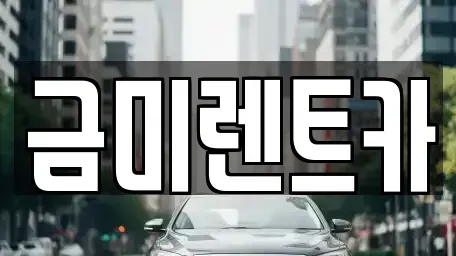 서울 구로구 가리봉동 렌트카 전문 금미렌트카