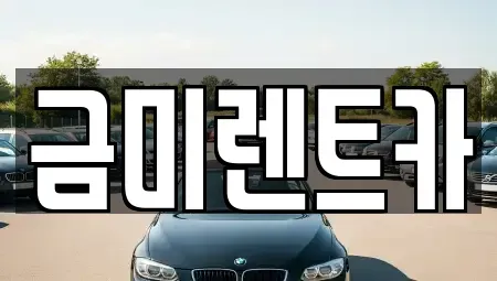 서울 구로구 항동 렌트카 전문 금미렌트카