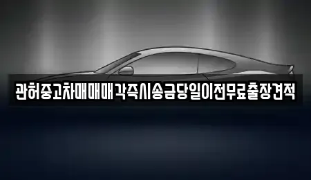 서울 구로구 항동 중고차 전문 관허중고차매매매각즉시송금당일이전무료출장견적